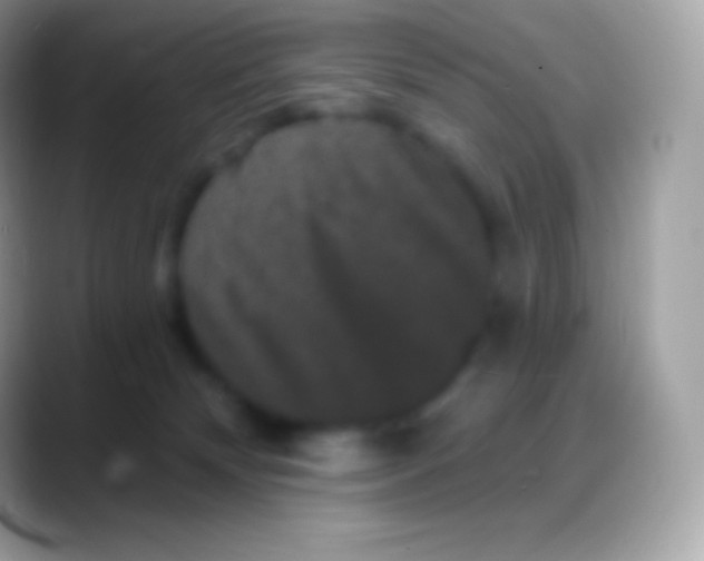 X0000088140132200706041344