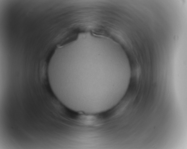 X0000088140133200706041344