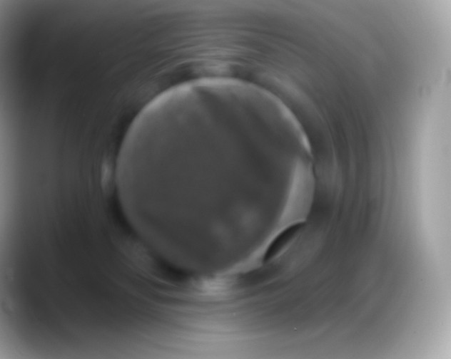 X0000088140134200706041344