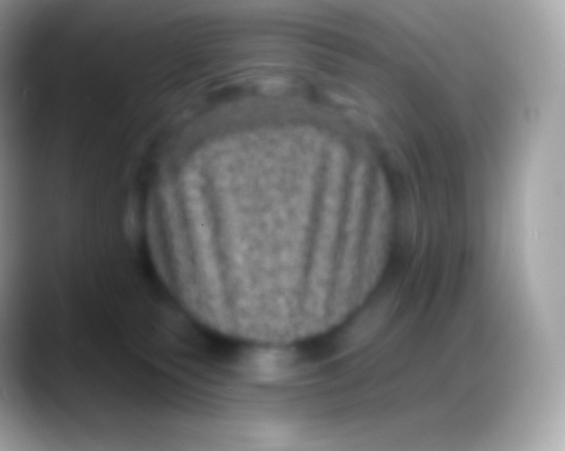 X0000088140135200706041344