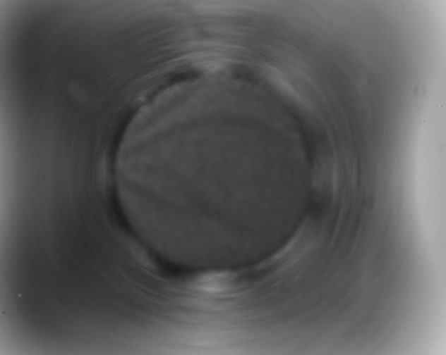 X0000088140136200706041344