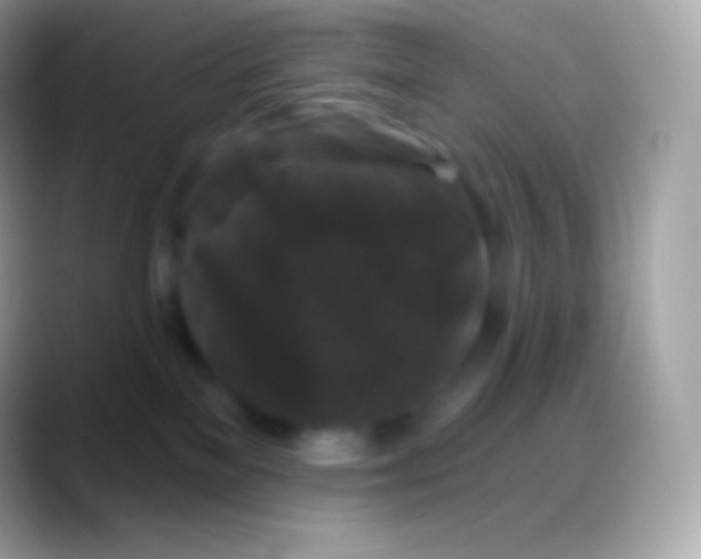 X0000088140137200706041344