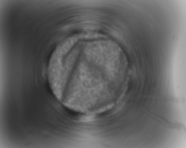 X0000088140138200706041344