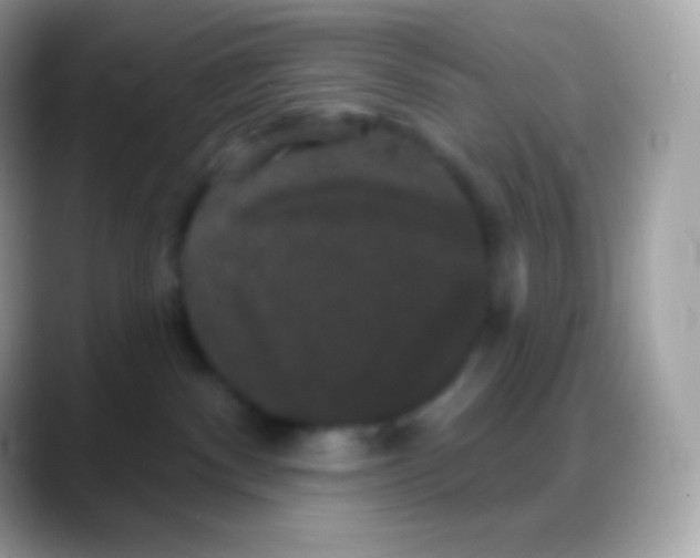 X0000088140140200706041344