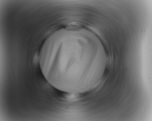 X0000088140142200706041344