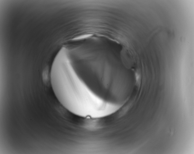 X0000088140143200706041343