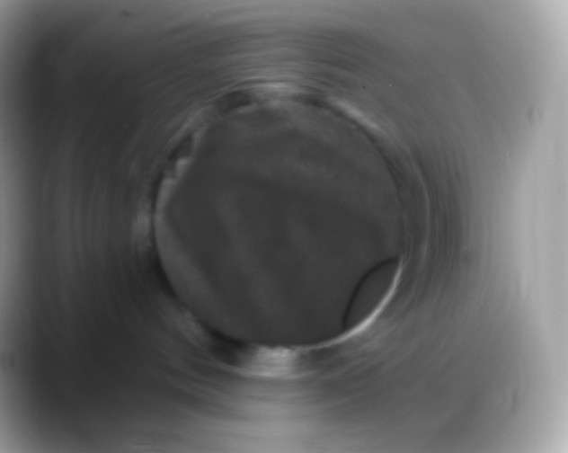 X0000088140144200706041343