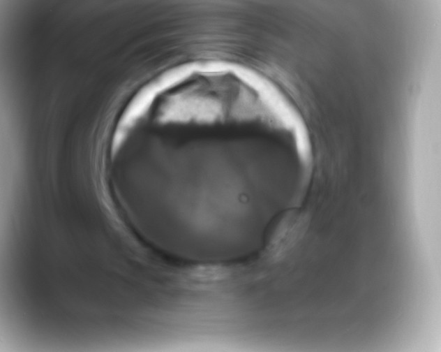 X0000088140145200706041343