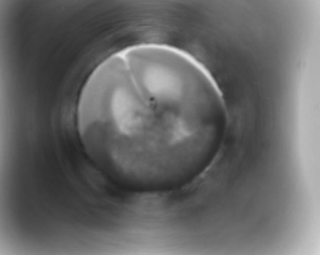 X0000088140146200706041343