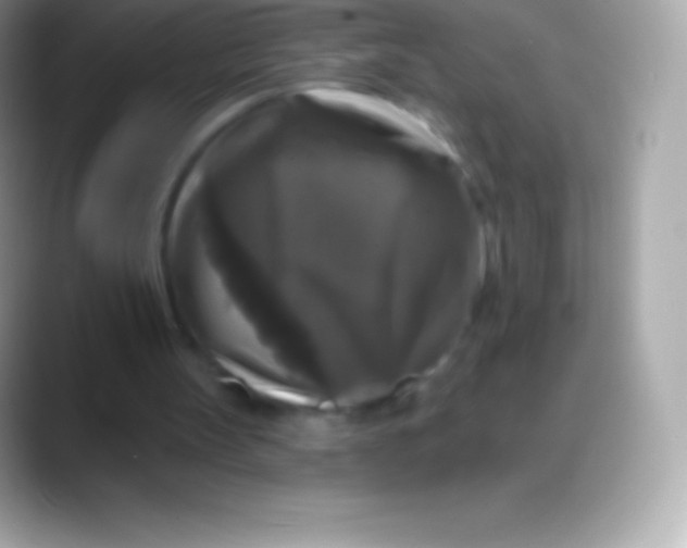 X0000088140147200706041343