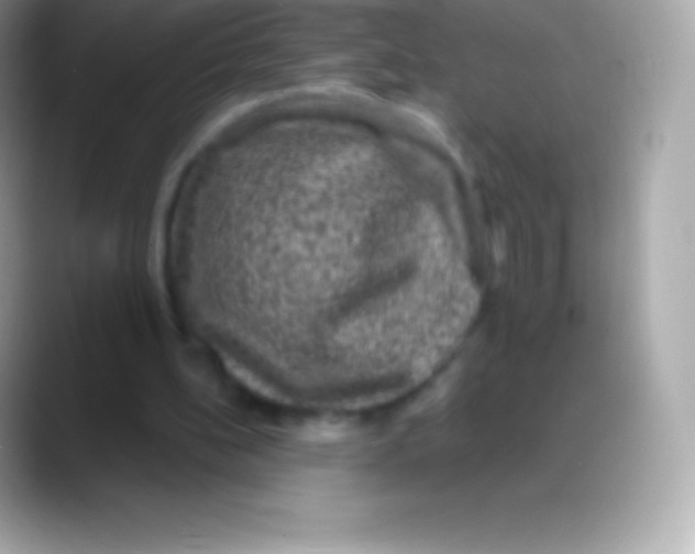 X0000088140148200706041343