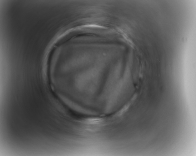 X0000088140150200706041343