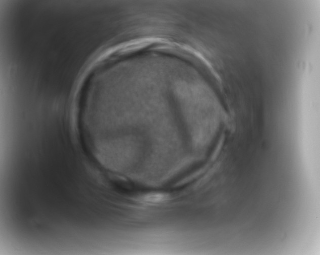 X0000088140152200706041343