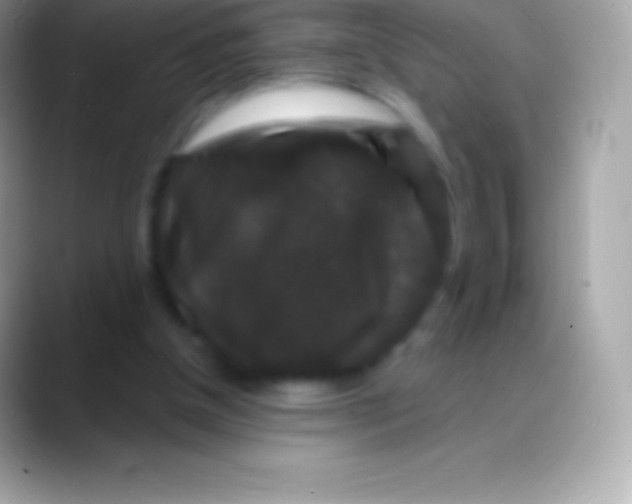 X0000088140154200706041343