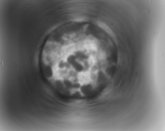 X0000088140155200706041343