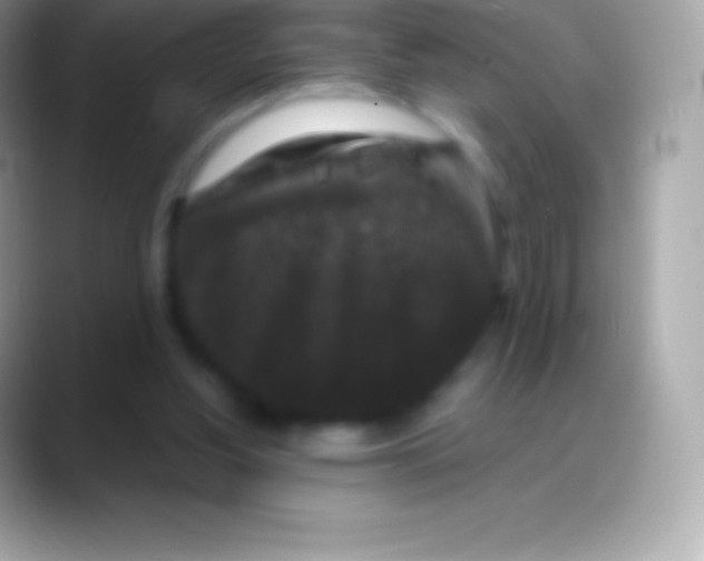 X0000088140156200706041343