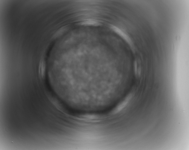 X0000088140157200706041343