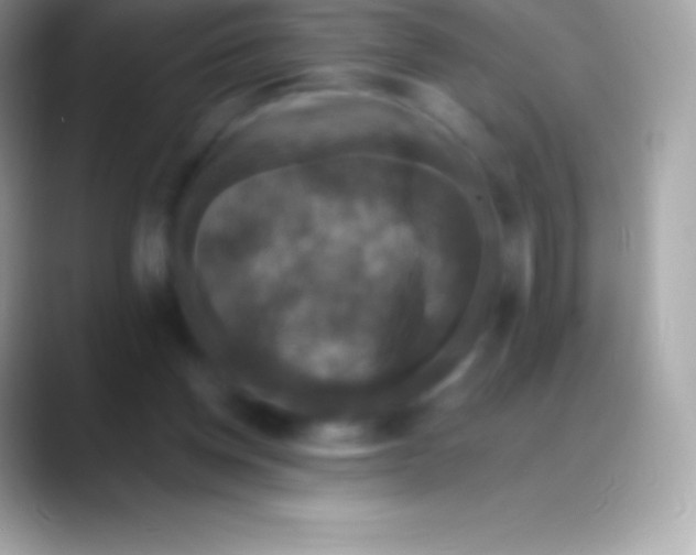 X0000088140158200706041343