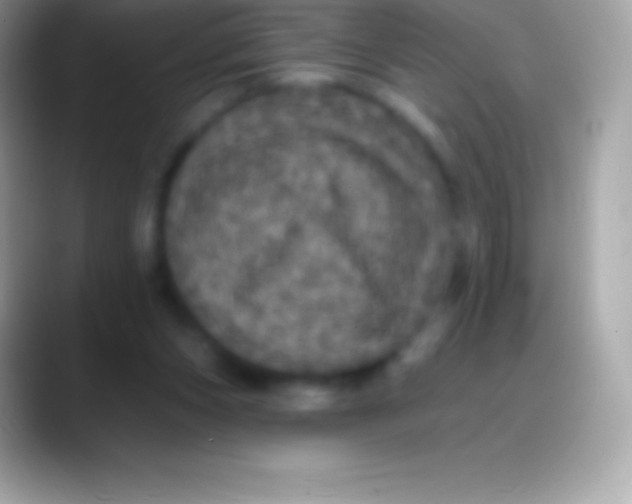 X0000088140159200706041343