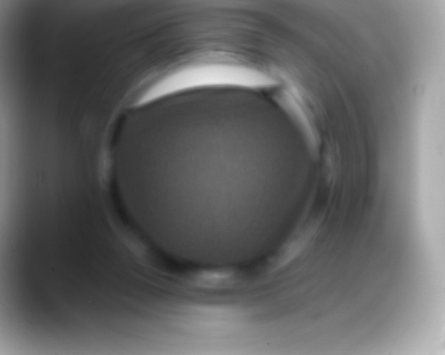 X0000088140160200706041343