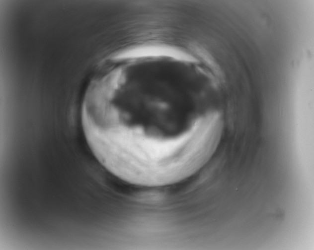 X0000088140161200706041343