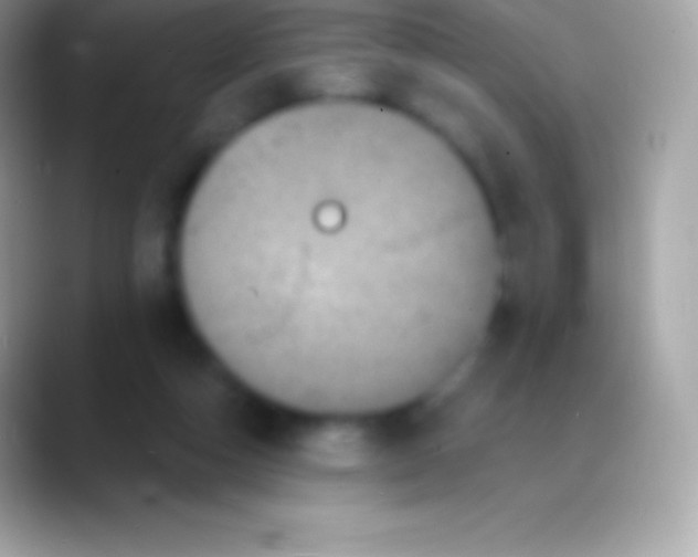 X0000088140162200706041343