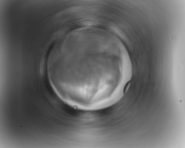 X0000088140163200706041343