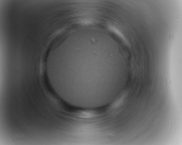 X0000088140164200706041343