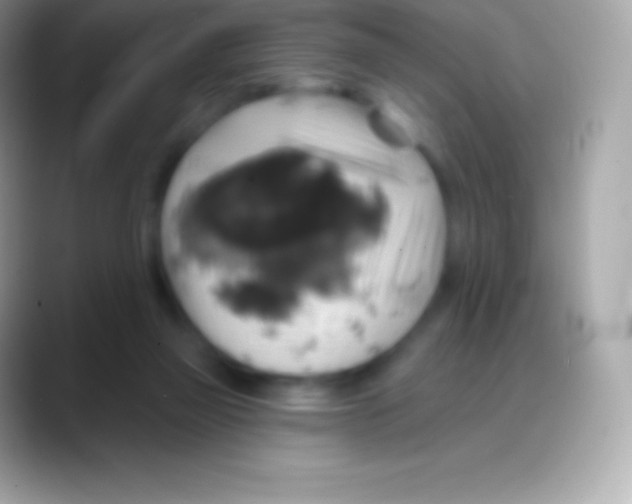 X0000088140165200706041343