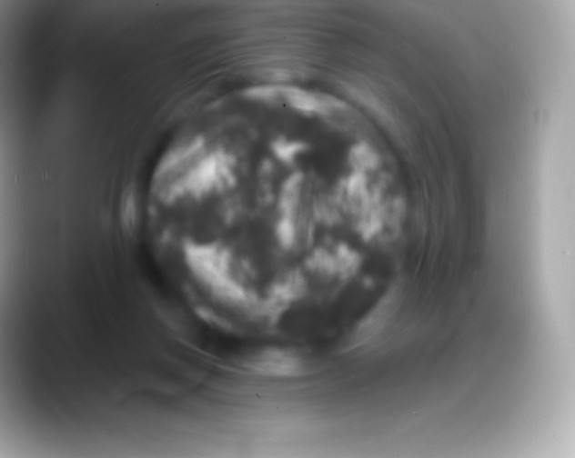 X0000088140166200706041343