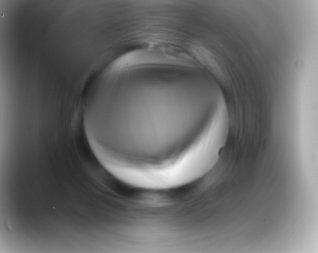 X0000088140167200706041343