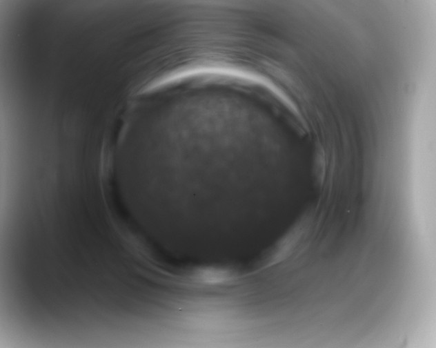 X0000088140168200706041343