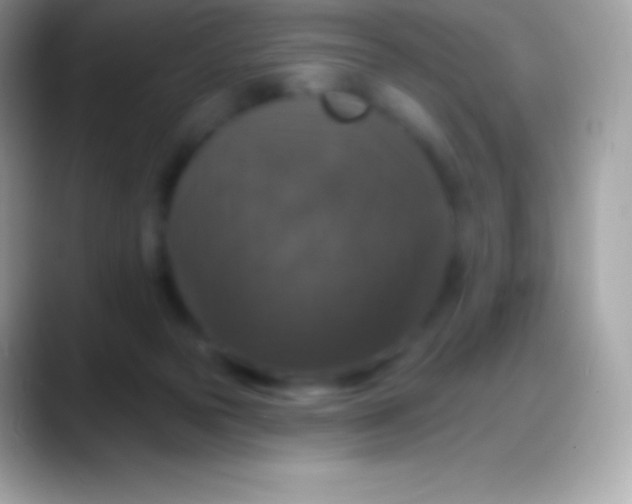 X0000088140169200706041343