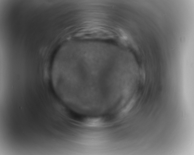 X0000088140170200706041343