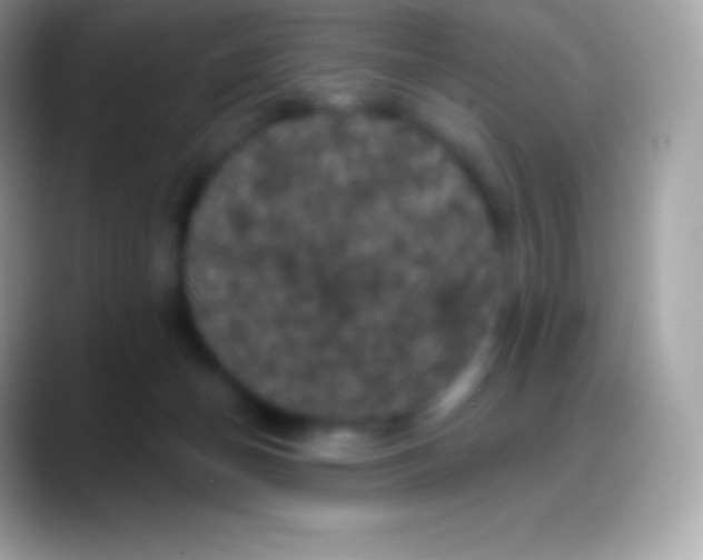 X0000088140174200706041343