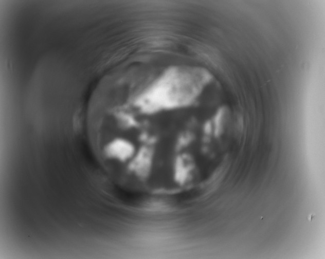 X0000088140175200706041343