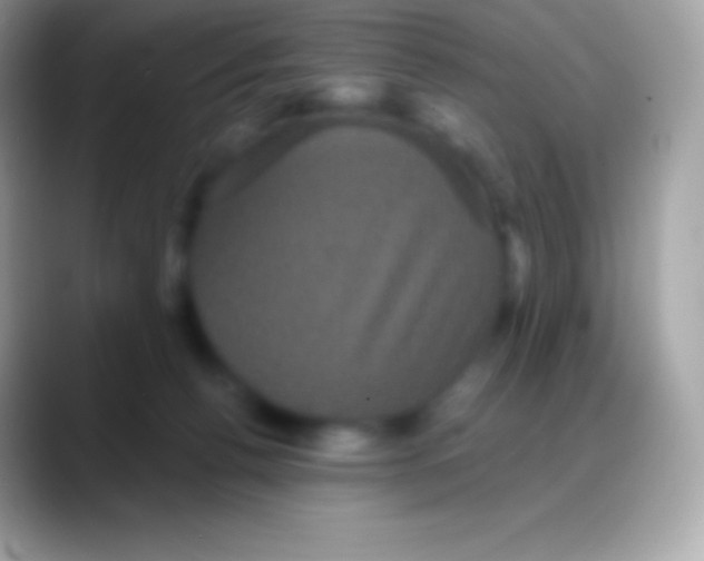 X0000088140176200706041343