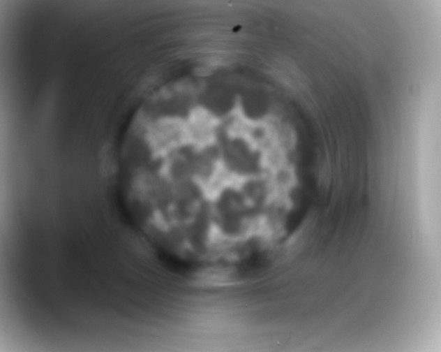 X0000088140179200706041343