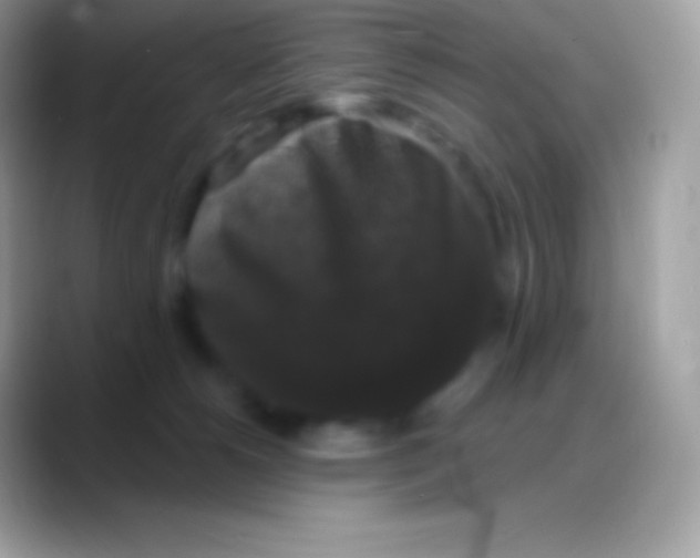 X0000088140180200706041343