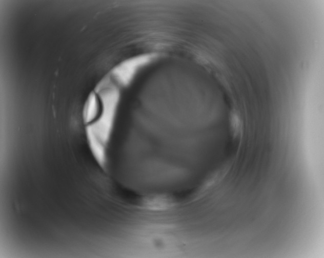 X0000088140181200706041343