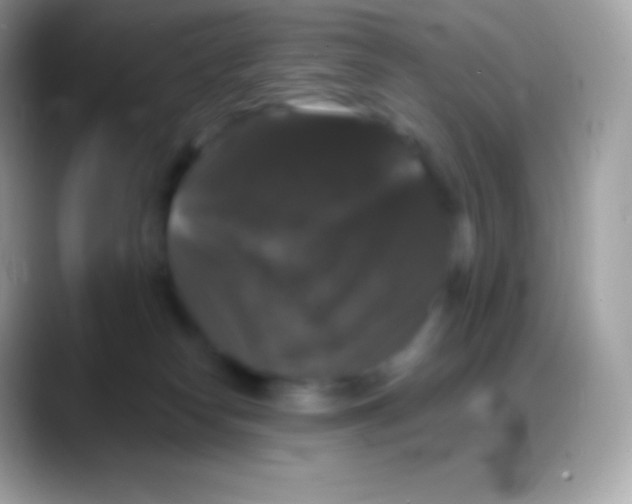 X0000088140182200706041343