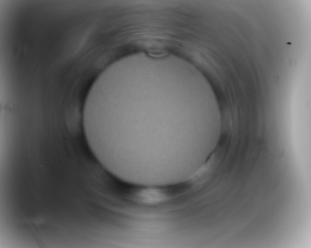 X0000088140183200706041343