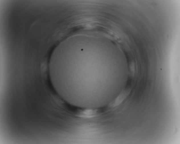 X0000088140184200706041343