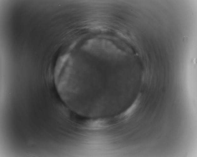 X0000088140186200706041343