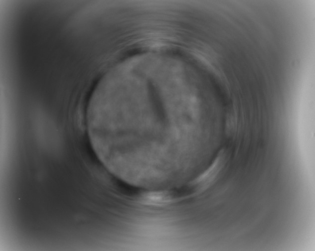 X0000088140187200706041343