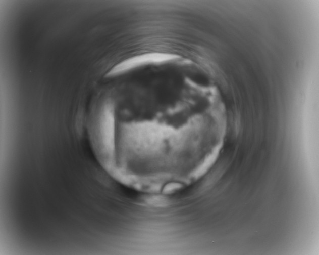 X0000088140189200706041343