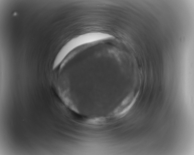 X0000088140190200706041343