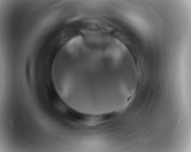 X0000088140191200706041343