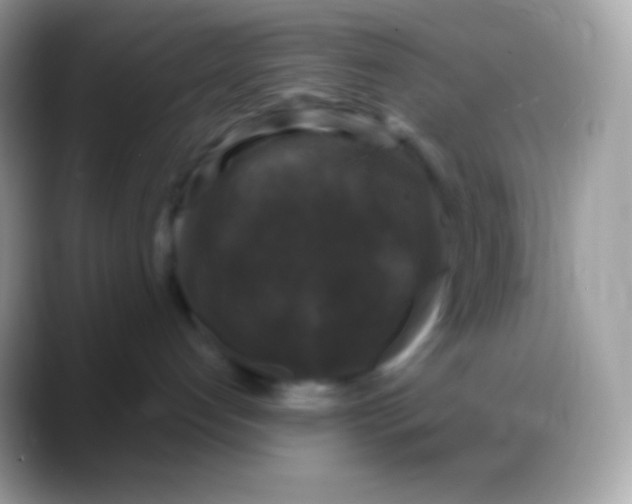 X0000088140192200706041343