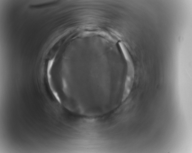 X0000088140194200706041343